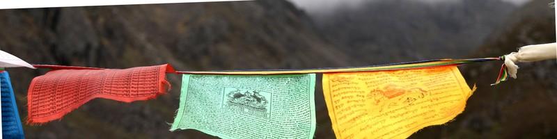 Bisesh Sangat, photo 2