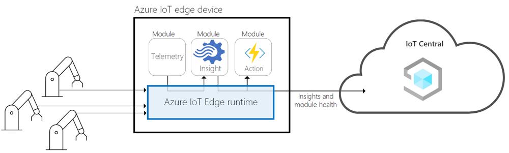 Bert Van Hoof, photo 2