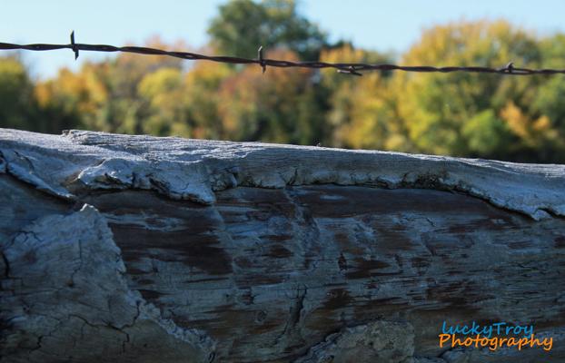 Troy Walker, photo 2