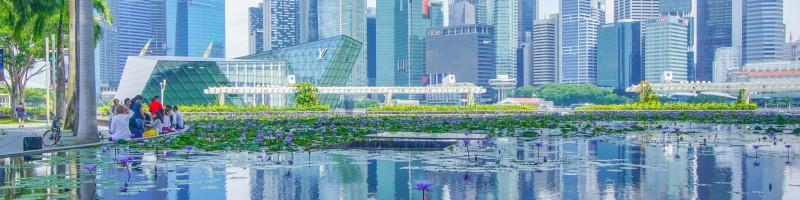 Fabien Clavier, photo 1