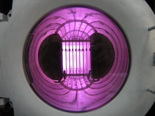 Stephen Shea, photo 1