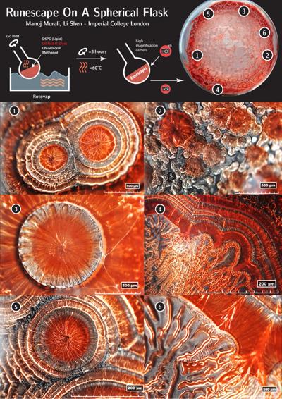 Manoj Murali, photo 1