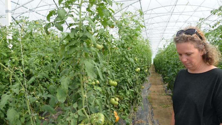 Stephane Picou, photo 1