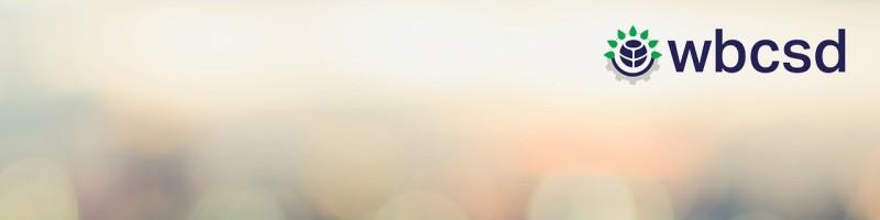 Feyza Olson, photo 2