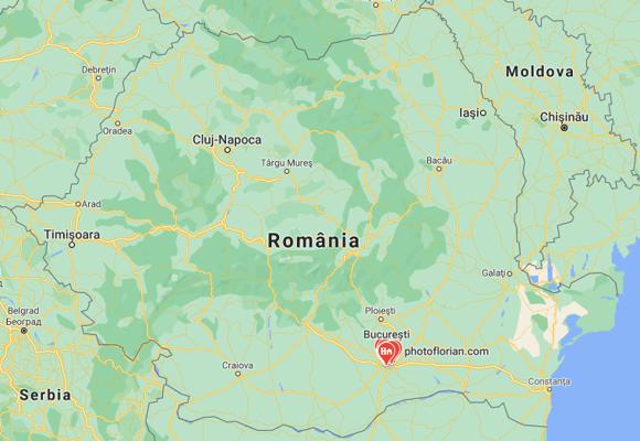 Viorel Apetrei, photo 1