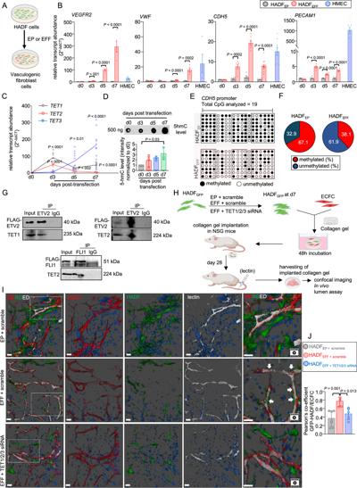 Methode Bacanamwo, photo 2
