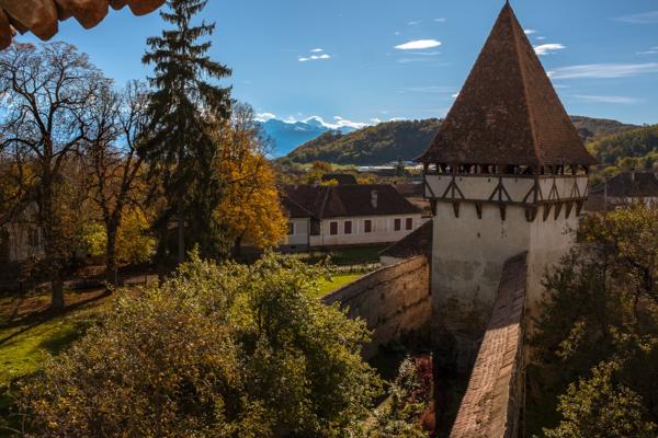 Raluca Spiac, photo 1