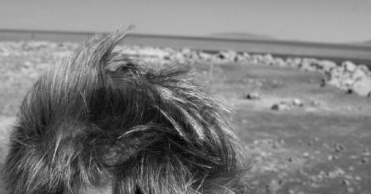 Zo Obradovic, photo 1