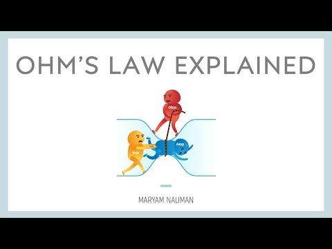 Subrina Basit, photo 1