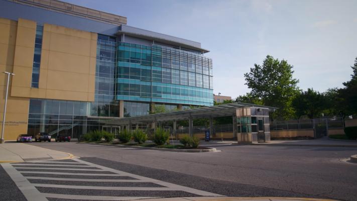 Shellie Williams, photo 2