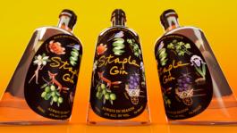 Kian Ansari, photo 1