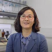 Xiaohong Li, photo 1