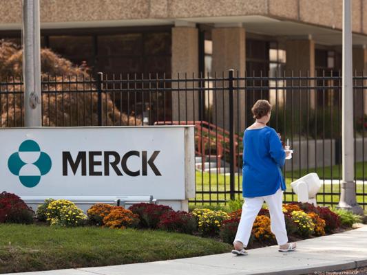 Austin Merck, photo 2