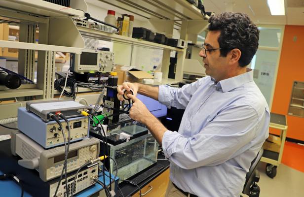 Alberto Molinarelli, photo 1