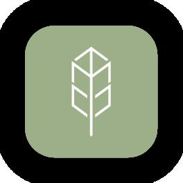 Aaron Harris, photo 2