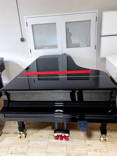 Patrick Elisha, photo 2