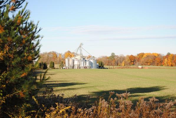 Allison Rosinsky, photo 2