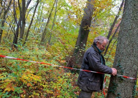 Fabien Chenel, photo 2