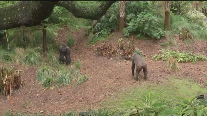 Bumpus Renee, photo 1