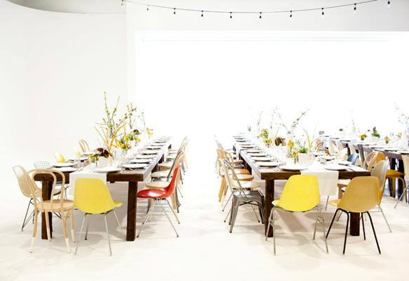 Michael Antonia, photo 2