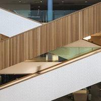 Matt Dankis, photo 2