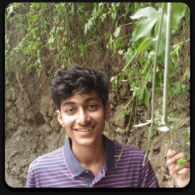 Sarang Mehrotra, photo 1