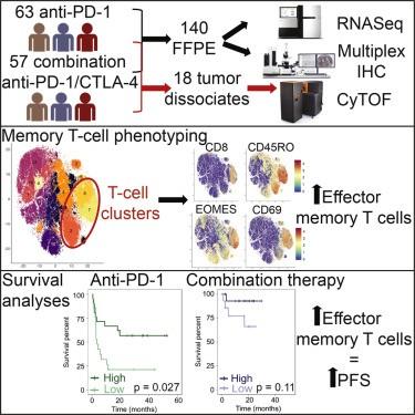 Gerard Hammond, photo 2