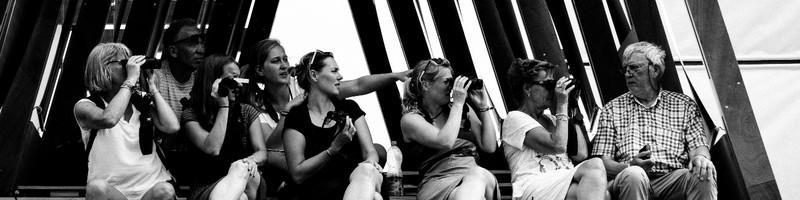 Alex Hamstra, photo 2