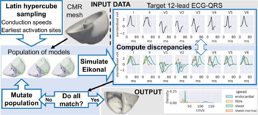 Michael Tikh, photo 1