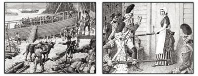 Jonathan Elkins, photo 1