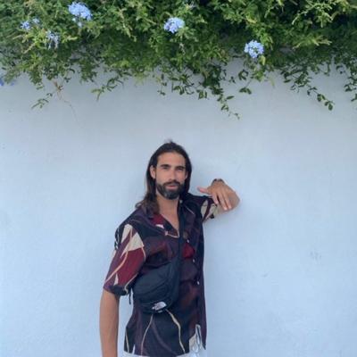 Daniel Del Sol Zeppelin H.