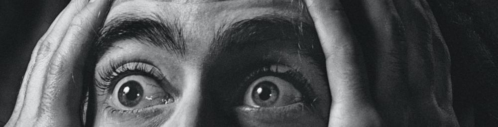 Ariel Jalali, photo 2