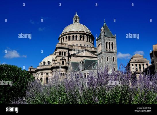 Christian Lavender, photo 1