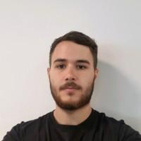 Andrei Stanila, photo 1