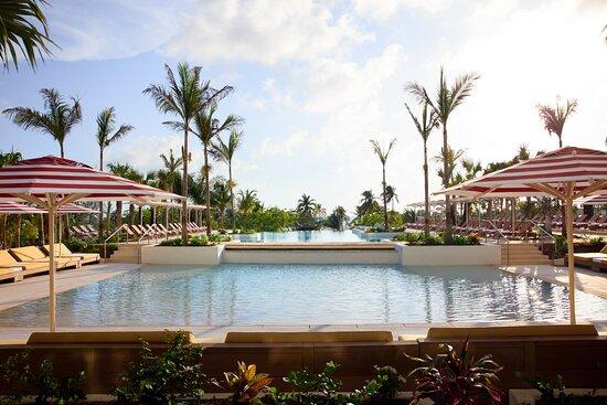 Ana Polo-Horn, photo 2