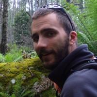 Andrew Gane, photo 2