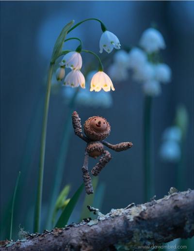 Debi Harper, photo 2