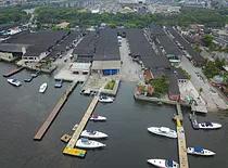 Marina Tunes, photo 1