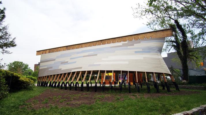 Matt Lumer ♦ LION TEN K ♦, photo 1