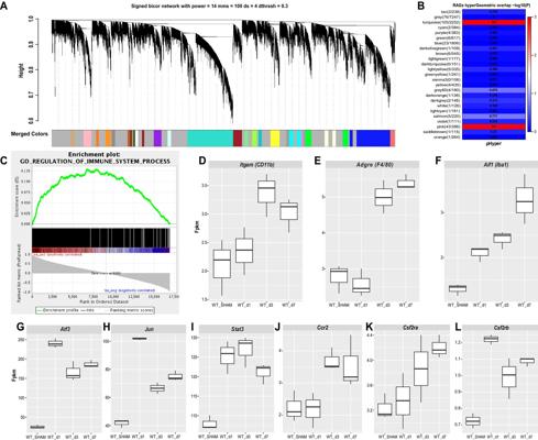 Chris Accolla, photo 1