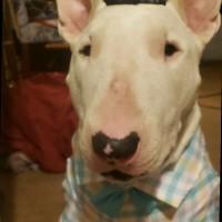 Warren Morse, photo 1