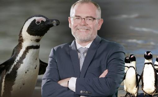 Doc Penguin, photo 1