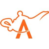 Alaa Al Haija, photo 2