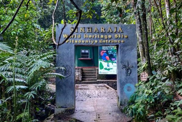 Sujith Pitadeniya, photo 2