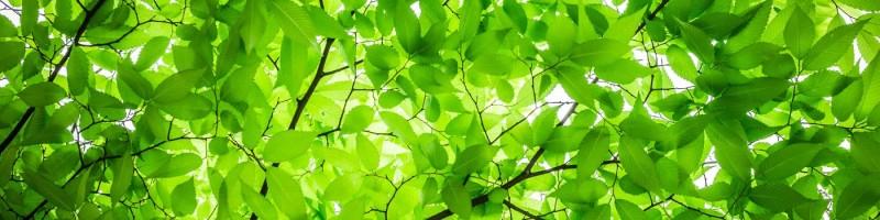 Ieva Kravcenko, photo 2