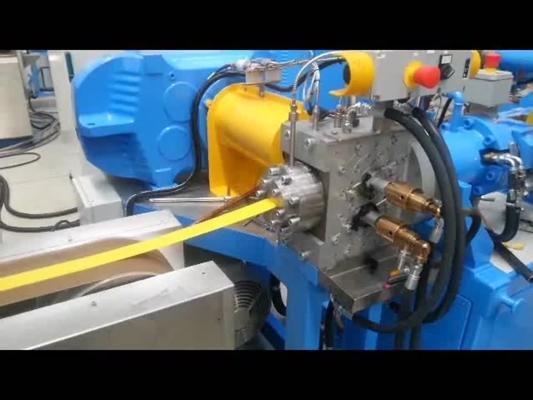 Sharona Umardekar, photo 1