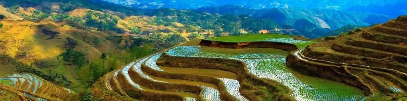 Cindy del Rosario-Tapan, photo 1