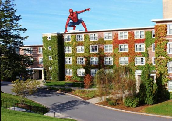 Peter Giannoutsos, photo 1