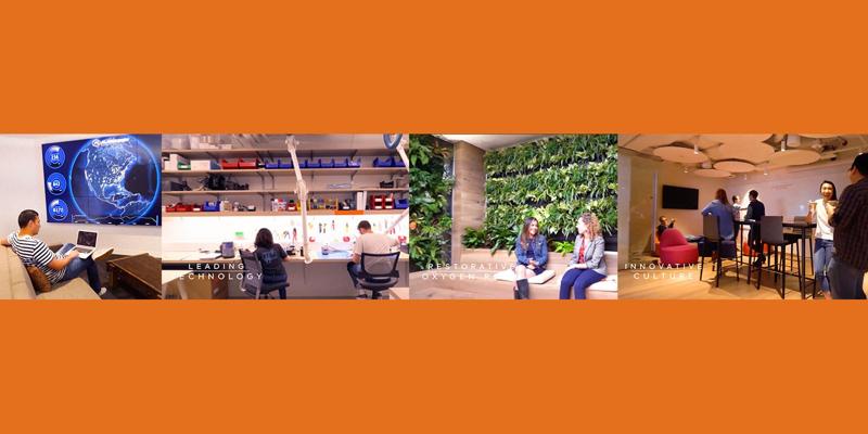 Jackson Adler, photo 1