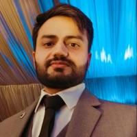 Ansar Javaid, photo 2